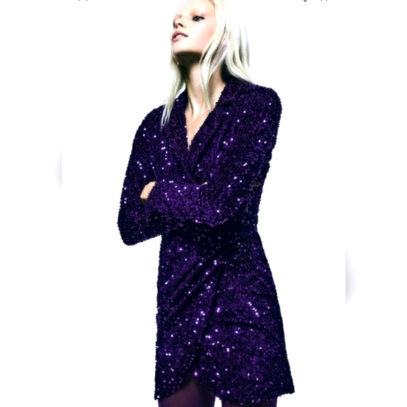 Zara SEQUIN BLAZER DRESS bloggers Favorite - Picture 6 of 10